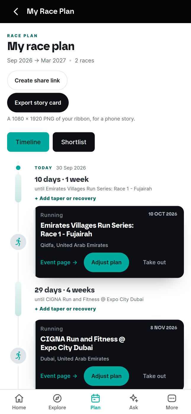 The race plan